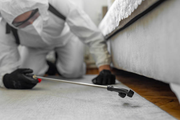 Professional Termite Control technician working in Berlin, NJ