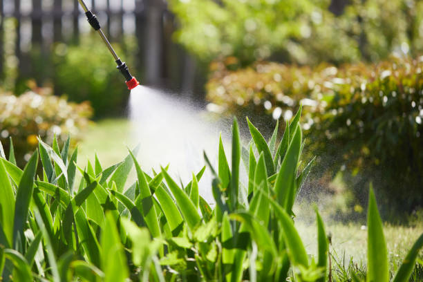 24/7 Emergency Termite Control experts in Berlin, NJ